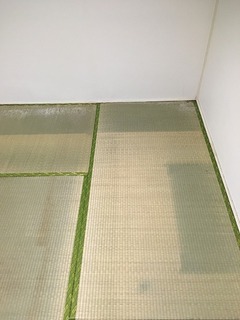 畳