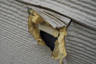 穴